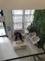 -苗医生草本科技祛痘