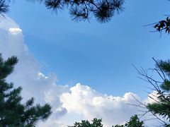 -萍乡武功山风景名胜区