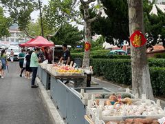 -神龟馅饼(古陌路店)