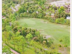 -成都蒲江花样年福朋喜来登度假酒店·宜客乐西餐厅