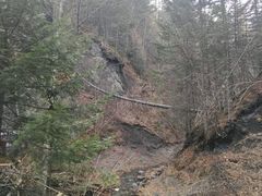 -峡谷浮石林景区