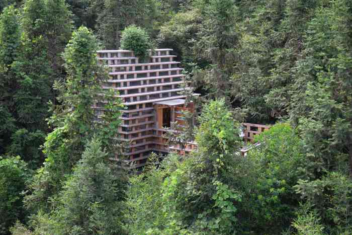 自由家树屋世界-"首次体验了树屋 跟想象的不太一样 但是还.