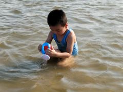 -碧海金沙