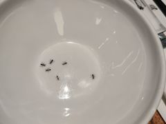 -唐宫小聚(新港中心店)