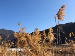 -白河湾生态旅游一条川