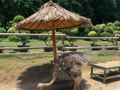 -三亚蜈支洲岛旅游区
