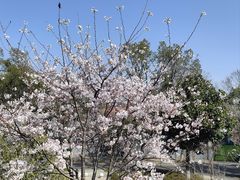 -龟山风景区-龟山电视塔