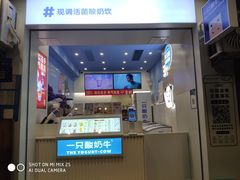 -一只酸奶牛(春熙路店)