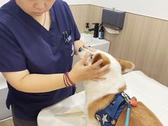 -申普宠物医院·眼科·心内科·影像科(普陀分院)