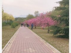-白水寺森林公园