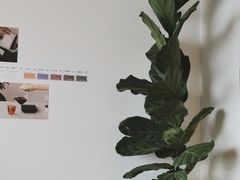 -纽巷咖啡 SOFTFOCUS COFFEE(锦和巴黎时韵店)