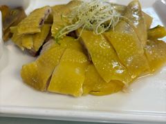朱记白切鸡-朱仔记食府(江南大道店)