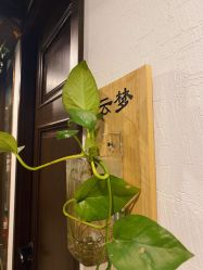 -青青一生美皮肤管理