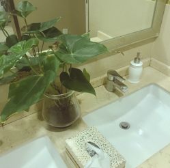 -女王传奇SPA·美容美体