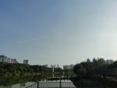 -广西壮族自治区药用植物园