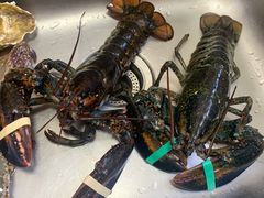 -众彩物流水产市场