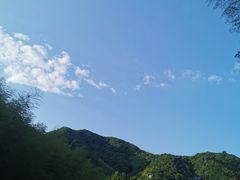-宁海安岚·南溪阁全日餐厅