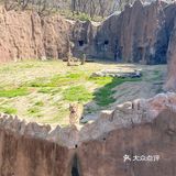 八块五毛钱的快乐[胜利]
