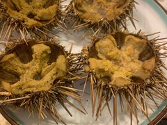 -海胆小馆(东北水饺·春柳店)