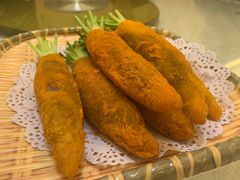 -丁老爷子苏香圆