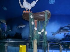 -烟台海昌鲸鲨海洋公园