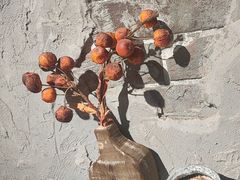 -地二手作鱼汤馄饨(上街里店)