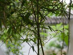-虎丘山风景名胜区