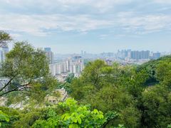 -金鸡山公园