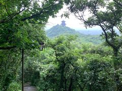 -杭州半山国家森林公园