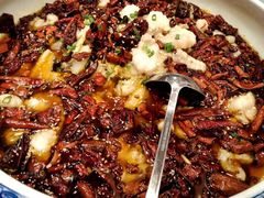 沸腾安康鱼-海中洲渔社