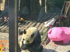 -大连森林动物园