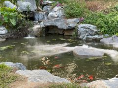 -香山湖公园