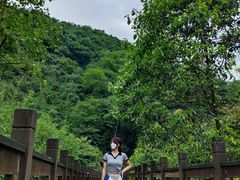 -凤栖山
