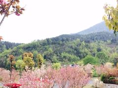 -张公山寨景区