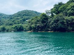 -鼎湖山风景区
