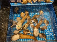 -海月轩海鲜豆捞(紫金塔店)