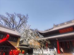 -灵谷景区