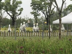 -上海长兴岛郊野公园