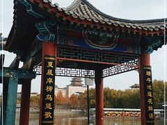 -莲花池公园