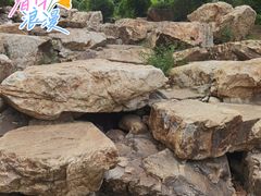 -莫子山公园