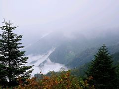 -梭布垭石林景区