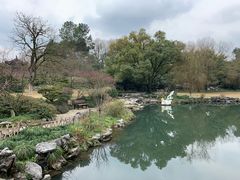 -西湖外事游船(花港观鱼码头)