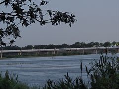 -绿堤公园