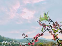 -红山村