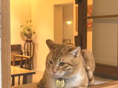 -兮食农场餐厅