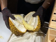 -石家庄万象天成假日酒店