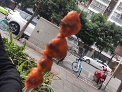 -晓靖轩烧烤(沙河风情店)