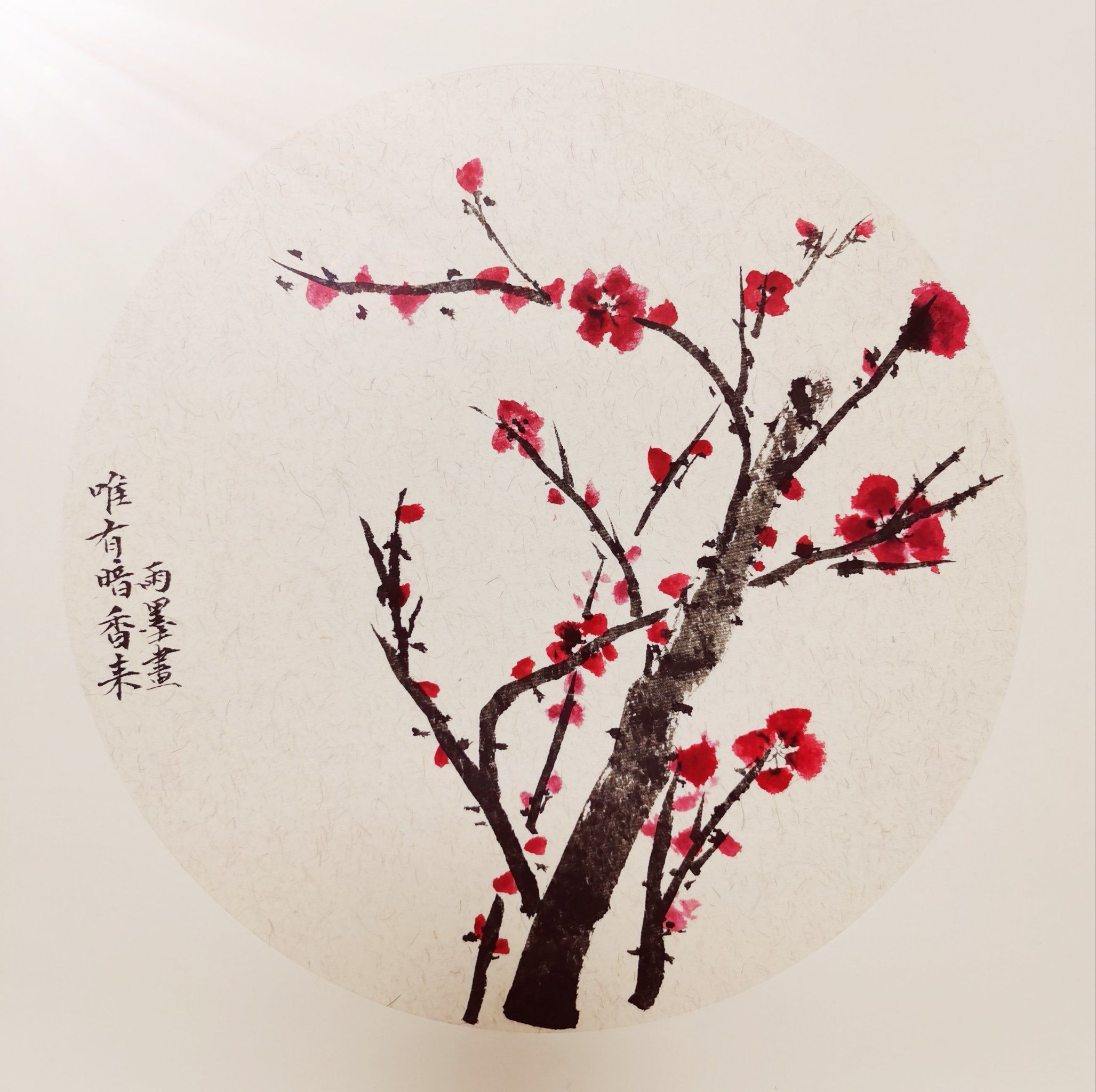 为有暗香来#水墨梅花 #画梅  学生作品