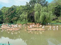 -宁波野生动物园