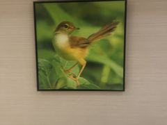 -8号公馆(金川街店)